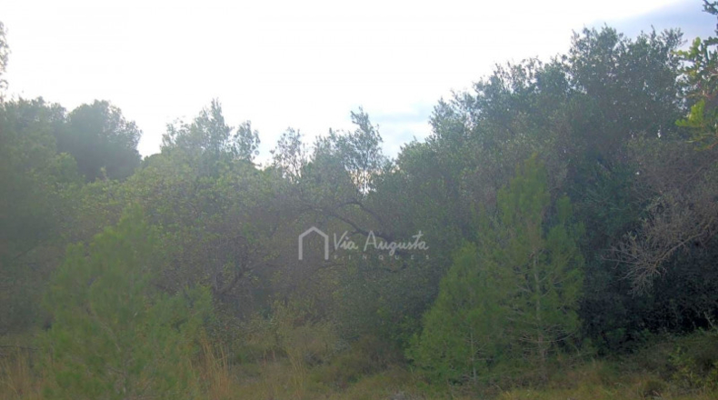 Tarragona - l'Ametlla de Mar - 37272m2