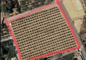 Terreno no urbanizable en venta en la España, Elche, ref: TR116895 foto