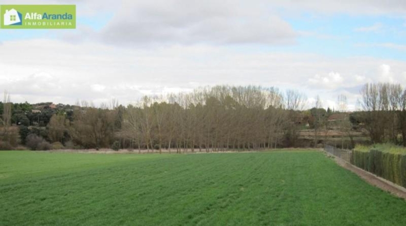Burgos - Аранда-де-Дуэро - 5230m2
