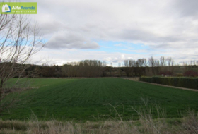 Aranda de Duero 5230&nbsp;m² 