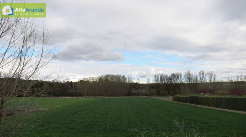 Burgos - Аранда-де-Дуэро - 5230m2