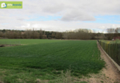 Xalet independent amb terreny en venda a la España, Aranda de Duero, ref.: TR295692 foto