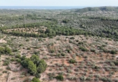 Terreny no urbanitzable en venda a la España, el Perelló, ref.: TR116046 foto