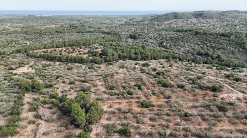Tarragona - el Perelló - 45610m2