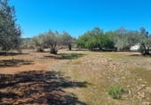 Terreny no urbanitzable en venda a la España, el Perelló, ref.: TR116046 foto