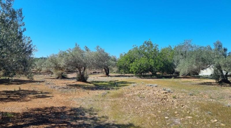 Tarragona - el Perelló - 45610m2