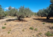 Terreny no urbanitzable en venda a la España, el Perelló, ref.: TR116046 foto