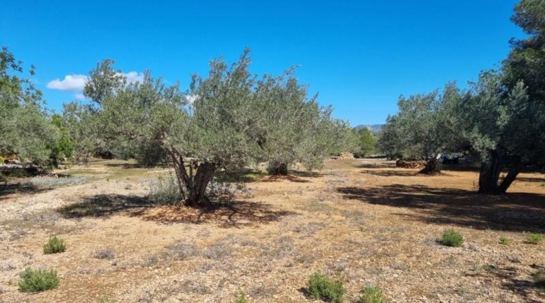 Tarragona - el Perelló - 45610m2