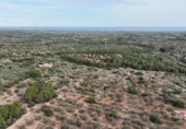 Terreny no urbanitzable en venda a la España, el Perelló, ref.: TR116046 foto
