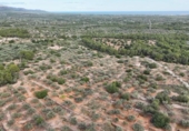 Terreny no urbanitzable en venda a la España, el Perelló, ref.: TR116046 foto