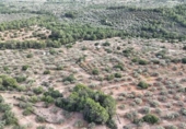 Terreny no urbanitzable en venda a la España, el Perelló, ref.: TR116046 foto
