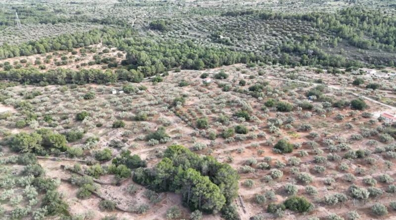 Tarragona - el Perelló - 45610m2