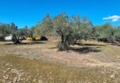 Terreny no urbanitzable en venda a la España, el Perelló, ref.: TR116046 foto