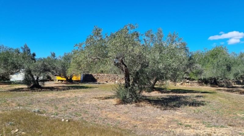 Tarragona - el Perelló - 45610m2