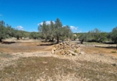 Terreny no urbanitzable en venda a la España, el Perelló, ref.: TR116046 foto