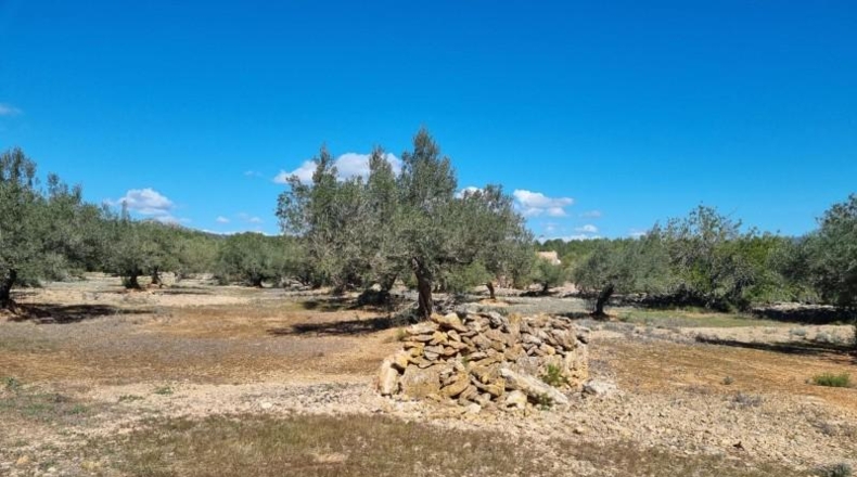 Tarragona - el Perelló - 45610m2
