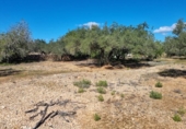 Terreny no urbanitzable en venda a la España, el Perelló, ref.: TR116046 foto