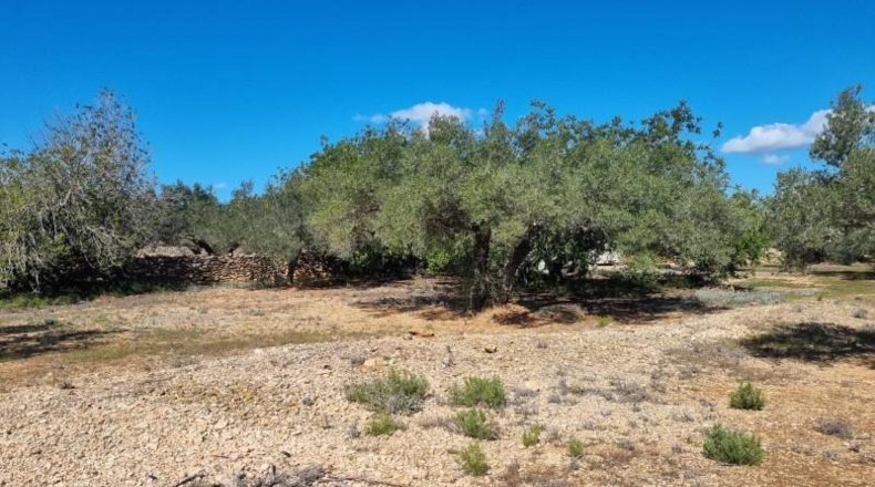 Tarragona - el Perelló - 45610m2