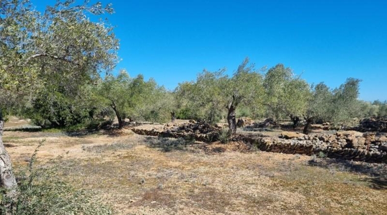 Tarragona - el Perelló - 45610m2