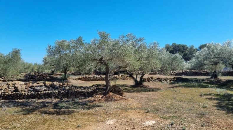 Tarragona - el Perelló - 45610m2