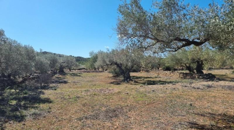 Tarragona - el Perelló - 45610m2