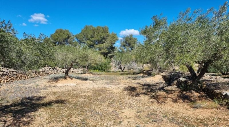 Tarragona - el Perelló - 45610m2