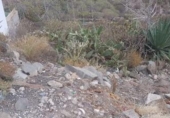 Sòl urbà en venda a la España, Adeje, ref.: TR113538 foto