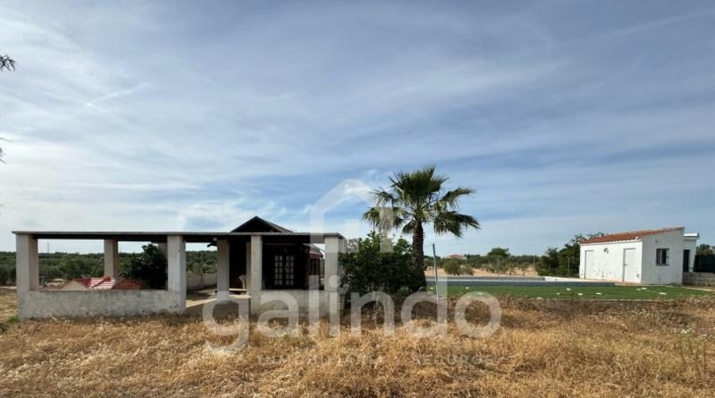 Sevilla - Arahal - 1000m2