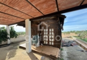 Casa de camp amb terreny en venda a la España, Arahal, ref.: TR292904 foto