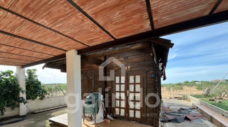 Sevilla - Arahal - 1000m2
