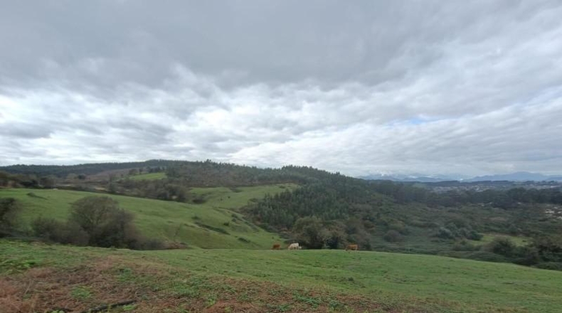 Cantàbria - Ruiloba - 21480m2