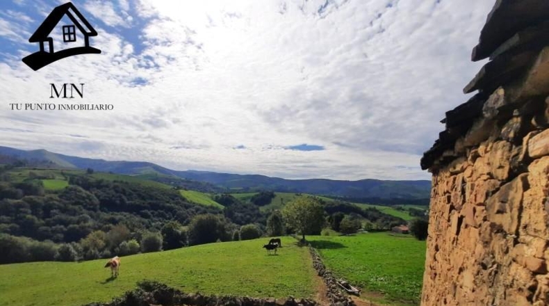 Cantabria - Bustantegua - 17329m2