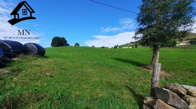 Cantabria - Bustantegua - 17329m2