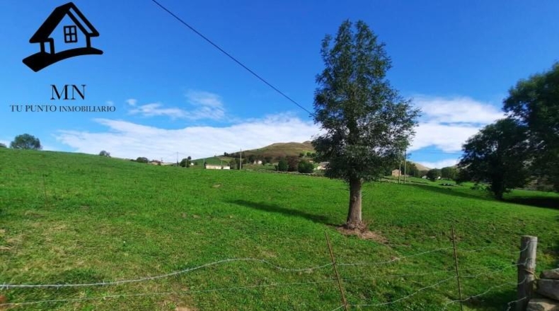 Cantabria - Bustantegua - 17329m2
