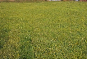 Pola de Siero 1250&nbsp;м²