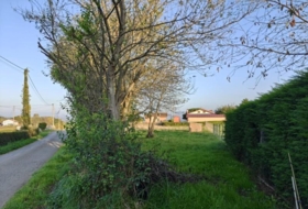 Nava 1960&nbsp;m² 
