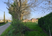 Parcel·la urbanitzable en venda a la España, Nava, ref.: TR348734 foto