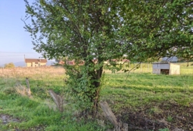 Nava 1960&nbsp;m² 