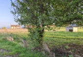 Parcel·la urbanitzable en venda a la España, Nava, ref.: TR348734 foto