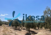 Terreno no urbanizable en venta en la España, Peal de Becerro, ref: TR320538 foto