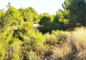 Non-developable land for sale on España, Los Baños de Mula, ref: TR328399 photo