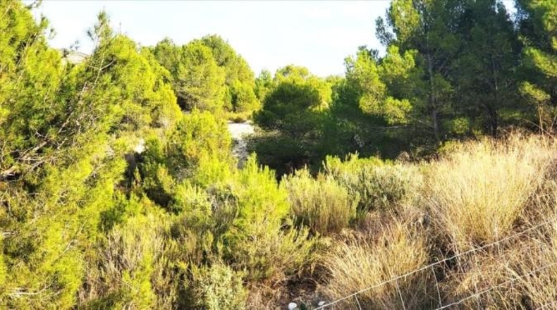 Murcia - Mula - 97204m2