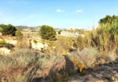 Non-developable land for sale on España, Los Baños de Mula, ref: TR328399 photo
