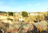 Non-developable land for sale on España, Los Baños de Mula, ref: TR328399 photo
