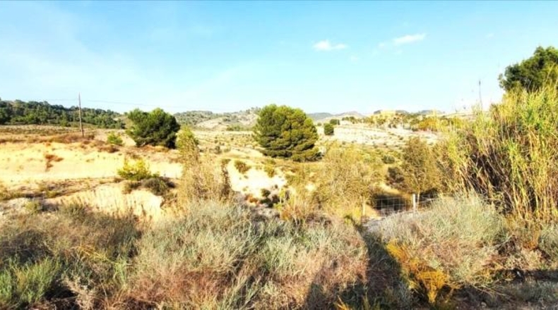Murcia - Mula - 97204m2
