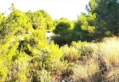 Non-developable land for sale on España, Los Baños de Mula, ref: TR328399 photo