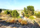 Non-developable land for sale on España, Los Baños de Mula, ref: TR328399 photo