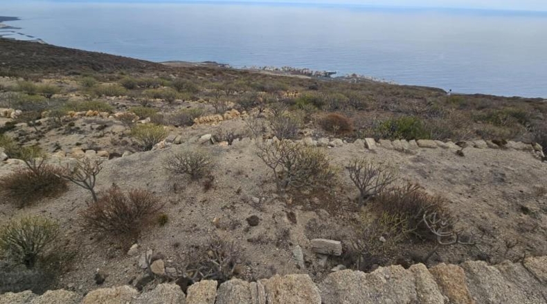 Santa Cruz de Tenerife - Güímar - 2500m2