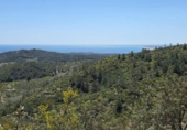 Xalet independent amb terreny en venda a la España, el Perelló, ref.: TR283711 foto