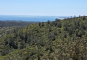 Xalet independent amb terreny en venda a la España, el Perelló, ref.: TR283711 foto